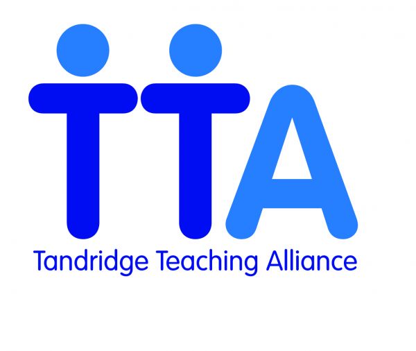 TTA final colour logo